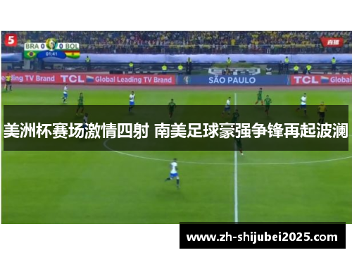 美洲杯赛场激情四射 南美足球豪强争锋再起波澜